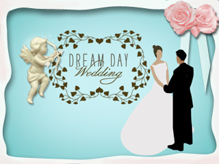 Dream Day Wedding
