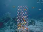 Aqualines real