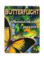 ButterFlight (PocketPC) level