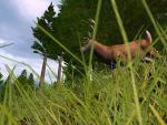 Hunting Unlimited 4 improved