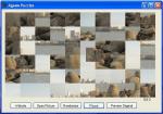 Jigsaw Puzzles jigsaw