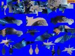 Mobile Jigsaw puzzle
