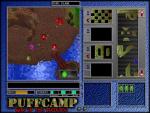 PuffCamp (War of the PuffBalls) kids