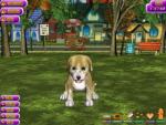 Puppy Luv A New Breed puppy