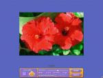 Super Jigsaw Beach Holiday puzzle