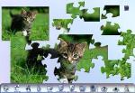 X-plosive JigSaw jigsaw