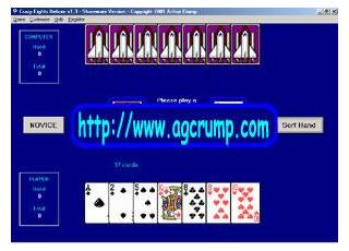 Crazy Eights Deluxe screenshot