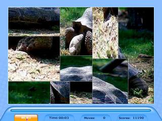 Jig Swap Puzzle screenshot