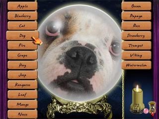 Lost Fortunes screenshot