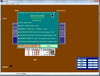 Solo Whist screenshot