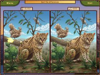 World Riddles: Animals screenshot