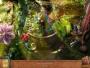 Fantastic Creations: House of Brass Collector's Edition